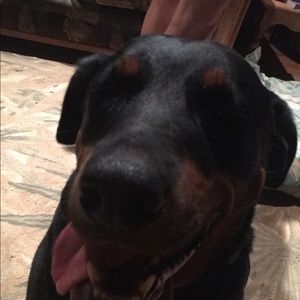 Meet your Posher, Angelique